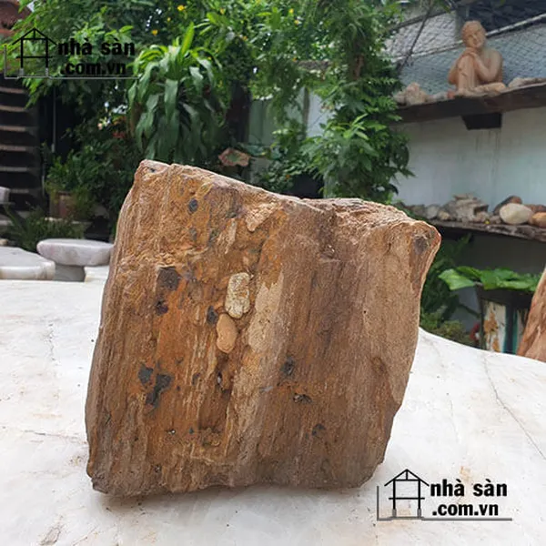 Gỗ hóa đá 100% từ thiên nhiên 13.5kg - Món quà của tạo hóa
