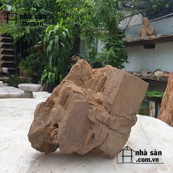 Gỗ hóa thạch trang trí thủy sinh 19.5kg - Chất liệu độc đáo cho bể cá đẹp mắt