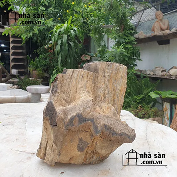 Gỗ hóa thạch thô 16kg - GHT55
