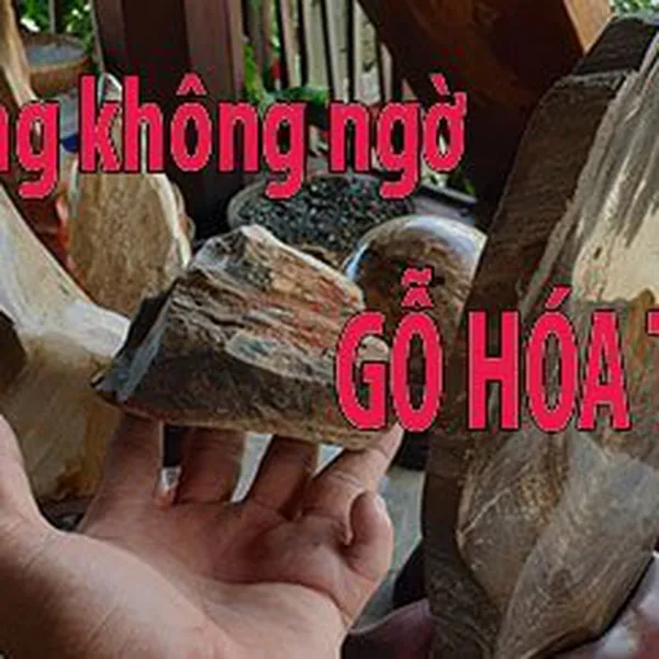 Gỗ Hóa Thạch Thô