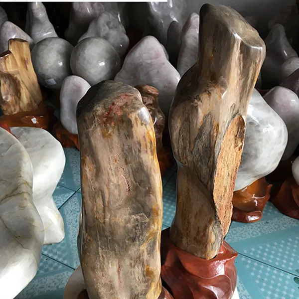 Gỗ Hóa Thạch Trong Phong Thủy