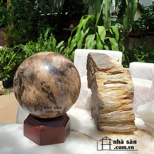 Quả cầu phong thủy gỗ hóa thạch tự nhiên