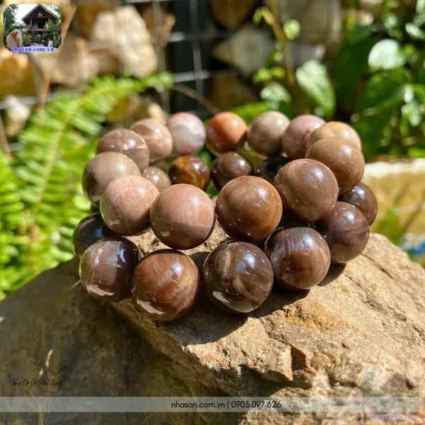 Vòng đá gỗ hóa thạch 16ly