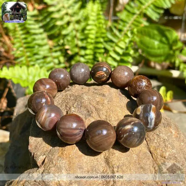 Vòng đá gỗ hóa thạch 16ly