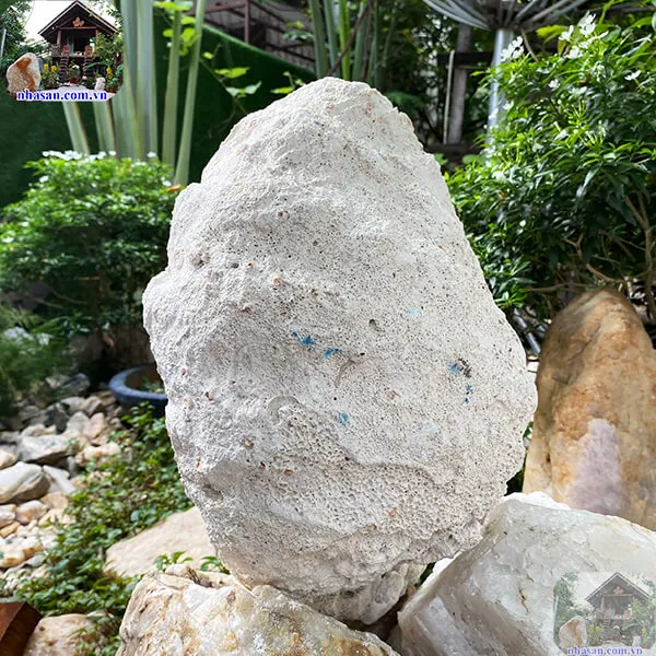 Vỏ sò tai tượng hóa ngọc 9.8kg (34x26 cm) món quà quý giá từ biển cả