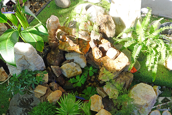 Nước chính là yếu tố của tài lộc thịnh vượng Nước chính là yếu tố của tài lộc thịnh vượng