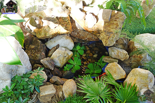 Tiểu cảnh còn là thú vui tao nhã của các tín đồ đam mê phong thủy Tiểu cảnh còn là thú vui tao nhã của các tín đồ đam mê phong thủy