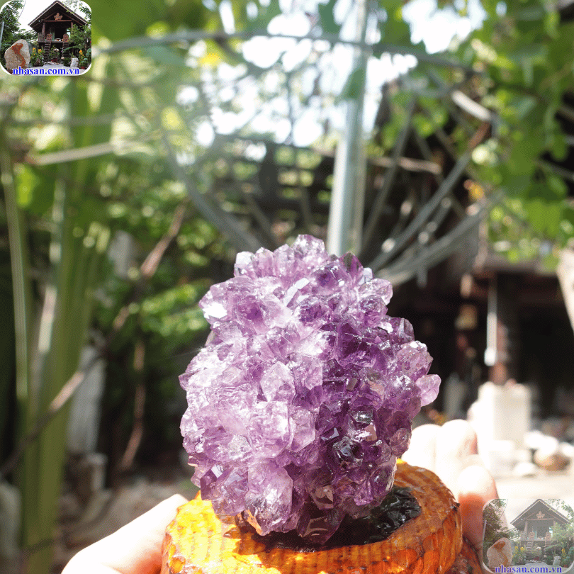 Cụm tinh thể đá thạch anh tím Cụm tinh thể đá thạch anh tím