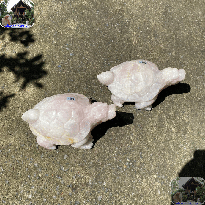 Có nhiều vị trí để bày trí rùa trấn trạch Có nhiều vị trí để bày trí rùa trấn trạch