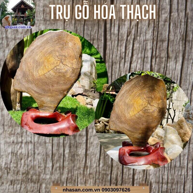 Trụ gỗ hóa thạch là một loại gỗ xuất hiện cách đây hàng triệu năm Trụ gỗ hóa thạch là một loại gỗ xuất hiện cách đây hàng triệu năm