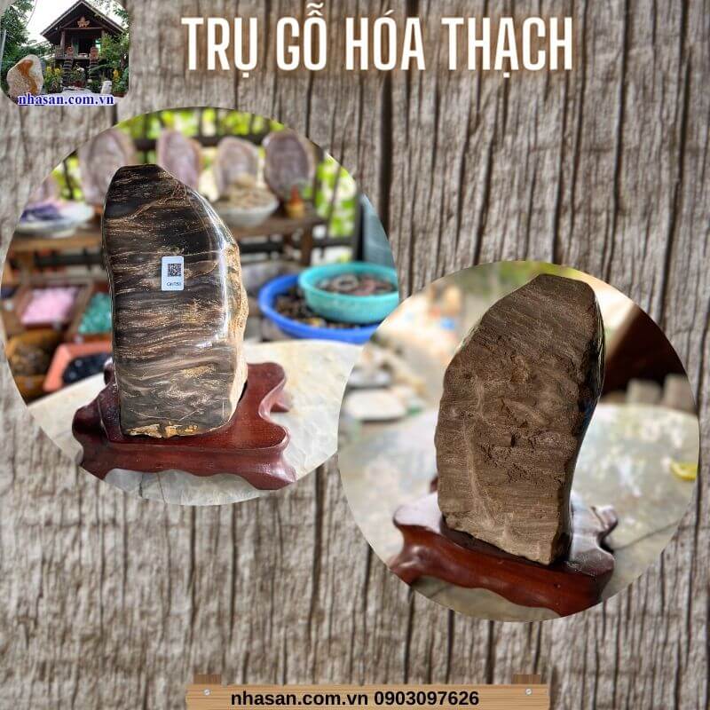 Gỗ hóa thạch là một hiện tượng tự nhiên hiếm có trên thế giới Gỗ hóa thạch là một hiện tượng tự nhiên hiếm có trên thế giới