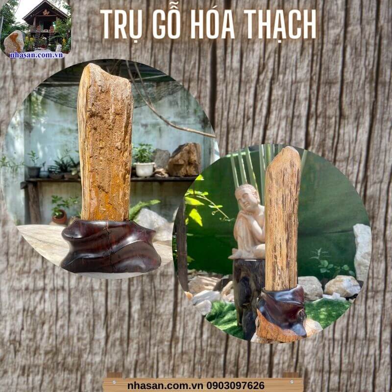 Trụ gỗ hóa thạch có nhiều hình dạng và kích thước khác nhau Trụ gỗ hóa thạch có nhiều hình dạng và kích thước khác nhau