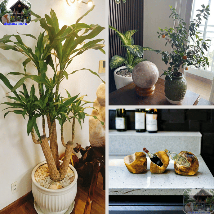 Vật phẩm phong thuỷ cũng là phương pháp bảo vệ trung cung khỏi phong thuỷ xấu Vật phẩm phong thuỷ cũng là phương pháp bảo vệ trung cung khỏi phong thuỷ xấu