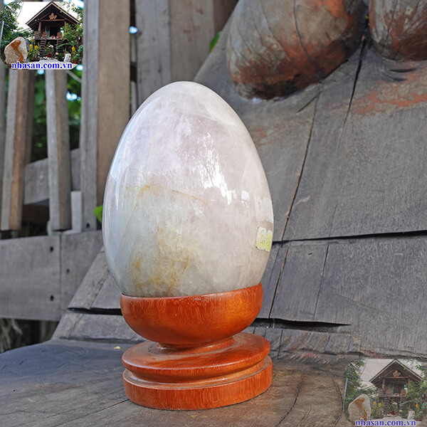 Hỗ trợ bảo vệ sức khỏe của vị chủ Hỗ trợ bảo vệ sức khỏe của vị chủ