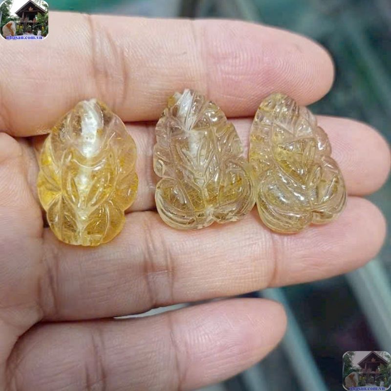 Hồ Ly phù hợp với đa số mọi người Hồ Ly phù hợp với đa số mọi người