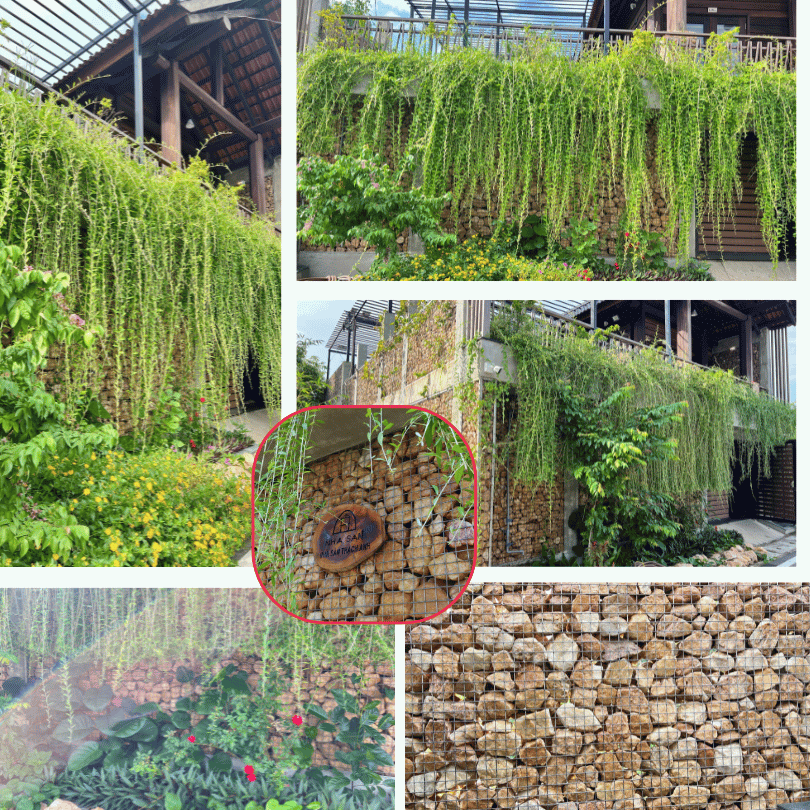 Tường rào xếp rọ đá thạch anh vụn thô