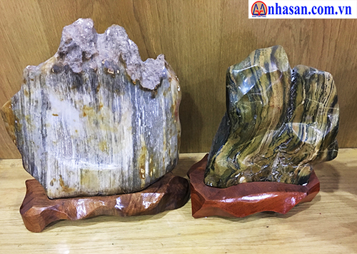 What is fossil timber?