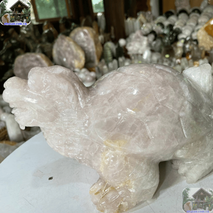 Rùa đá chôn dưới nền nhà  Rùa đá chôn dưới nền nhà