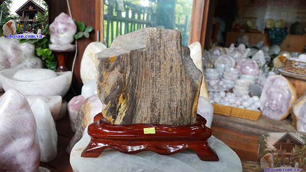 Gỗ hóa thạch giúp loại bỏ mệt mỏi, kìm chế được cơn nóng giận Gỗ hóa thạch giúp loại bỏ mệt mỏi, kìm chế được cơn nóng giận