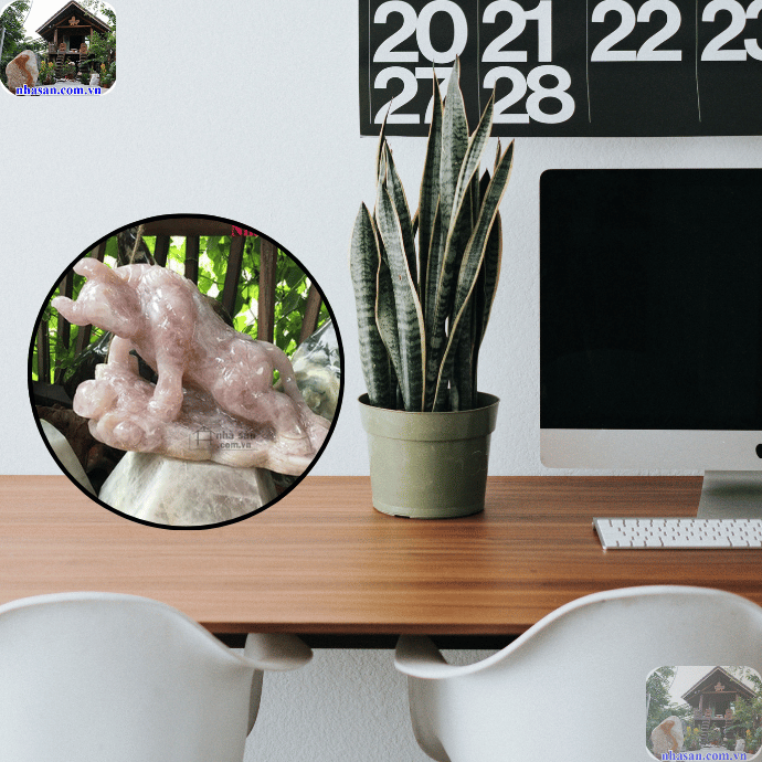 Vật phong thủy để bàn làm việc cho người tuổi Tỵ Vật phong thủy để bàn làm việc cho người tuổi Tỵ