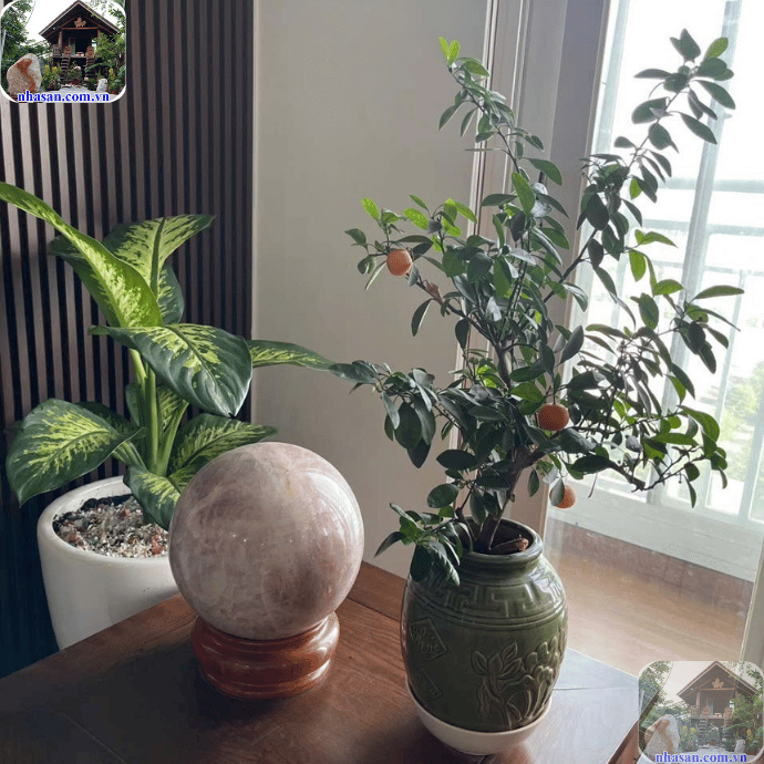 Phòng khách là nơi giao lưu, tiếp nhận nhiều nguồn năng lượng khác nhau Phòng khách là nơi giao lưu, tiếp nhận nhiều nguồn năng lượng khác nhau