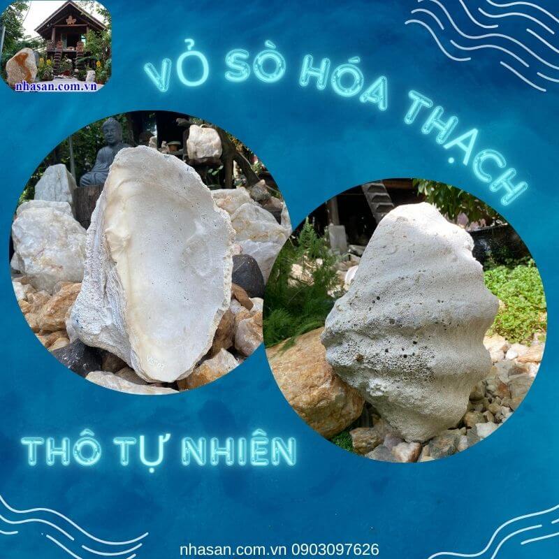 Chúng là một phần quan trọng của lịch sử Trái đất và có thể mang lại những điều tốt đẹp Chúng là một phần quan trọng của lịch sử Trái đất và có thể mang lại những điều tốt đẹp
