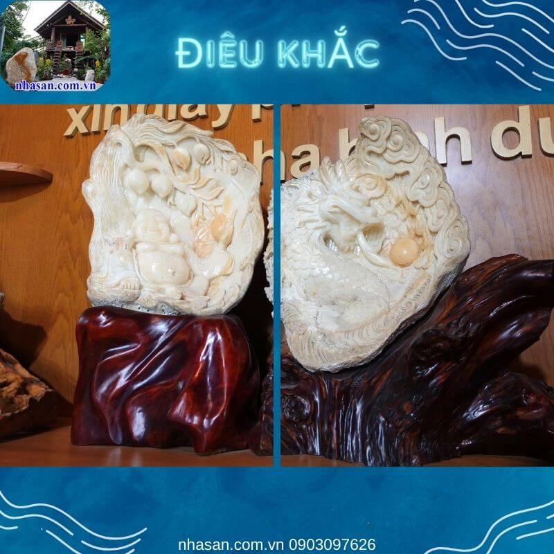 Vỏ sò hóa thạch cứng chắc và bền vững hơn vỏ sò thông thường Vỏ sò hóa thạch cứng chắc và bền vững hơn vỏ sò thông thường