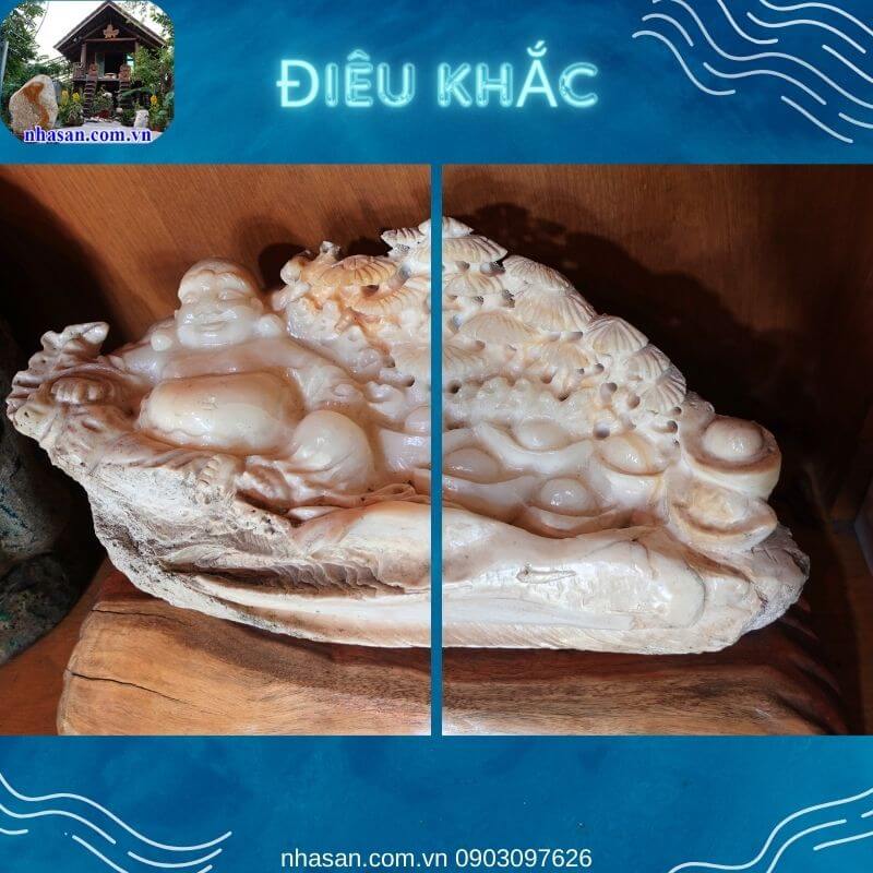 Vỏ sò tai tượng điêu khắc là các tác phẩm được các nghệ nhân chế tác tỉ mỉ Vỏ sò tai tượng điêu khắc là các tác phẩm được các nghệ nhân chế tác tỉ mỉ