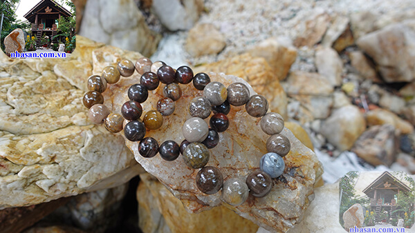 Vòng gỗ hóa thạch có đa dạng màu sắc Vòng gỗ hóa thạch có đa dạng màu sắc