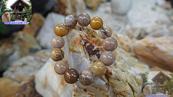 Bài viết giúp giải đáp vòng gỗ hóa thạch có tác dụng gì Bài viết giúp giải đáp vòng gỗ hóa thạch có tác dụng gì