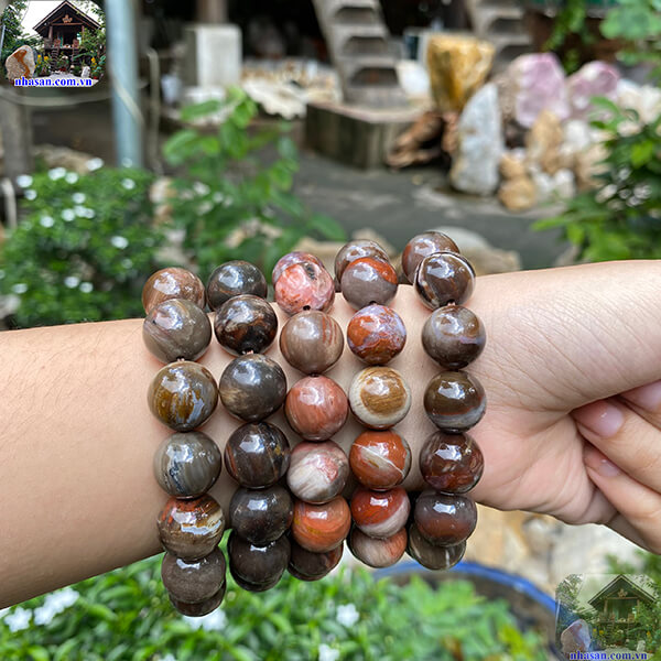 Vẻ đẹp tự nhiên của gỗ hóa thạch 14ly Vẻ đẹp tự nhiên của gỗ hóa thạch 14ly