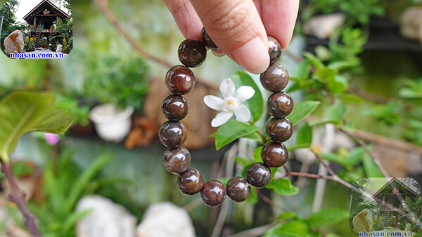 Màu sắc của gỗ hóa thạch đa dạng  Màu sắc của gỗ hóa thạch đa dạng