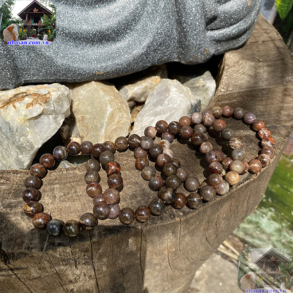 Tăng cường sức khỏe, gia tăng tuổi thọ Tăng cường sức khỏe, gia tăng tuổi thọ