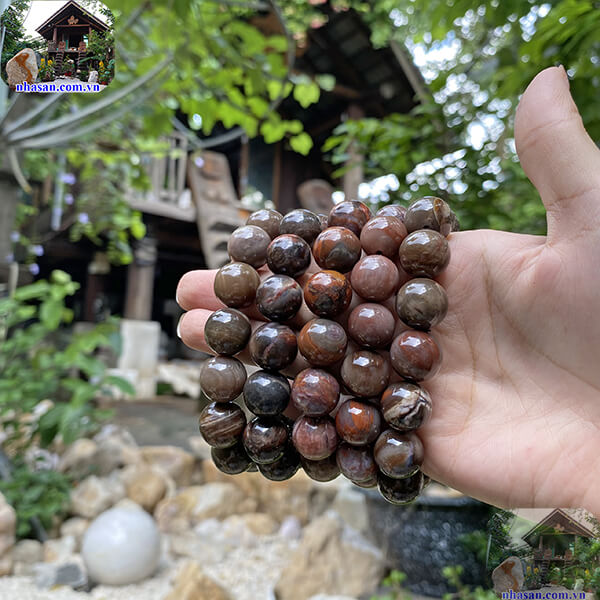 Vòng tay gỗ hóa thạch hợp mệnh gì trong ngũ hành tương sinh Vòng tay gỗ hóa thạch hợp mệnh gì trong ngũ hành tương sinh