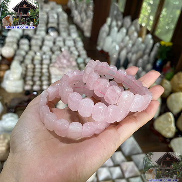 Hỗ trợ đào thải độc tố trong cơ thể Hỗ trợ đào thải độc tố trong cơ thể