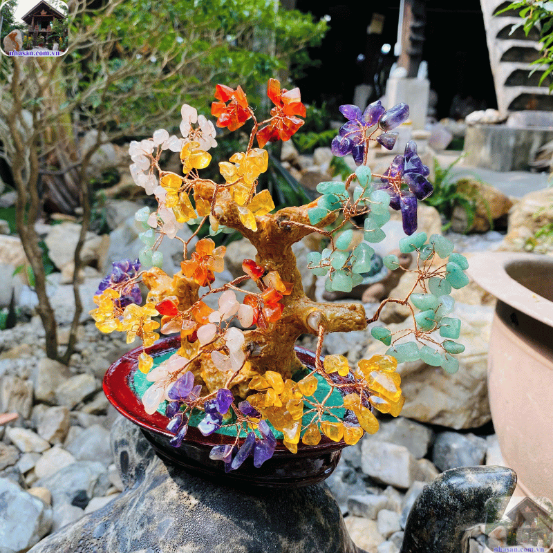 Tìm hiểu ý nghĩa cây tài lộc đá thạch anh trong phong thủy Tìm hiểu ý nghĩa cây tài lộc đá thạch anh trong phong thủy