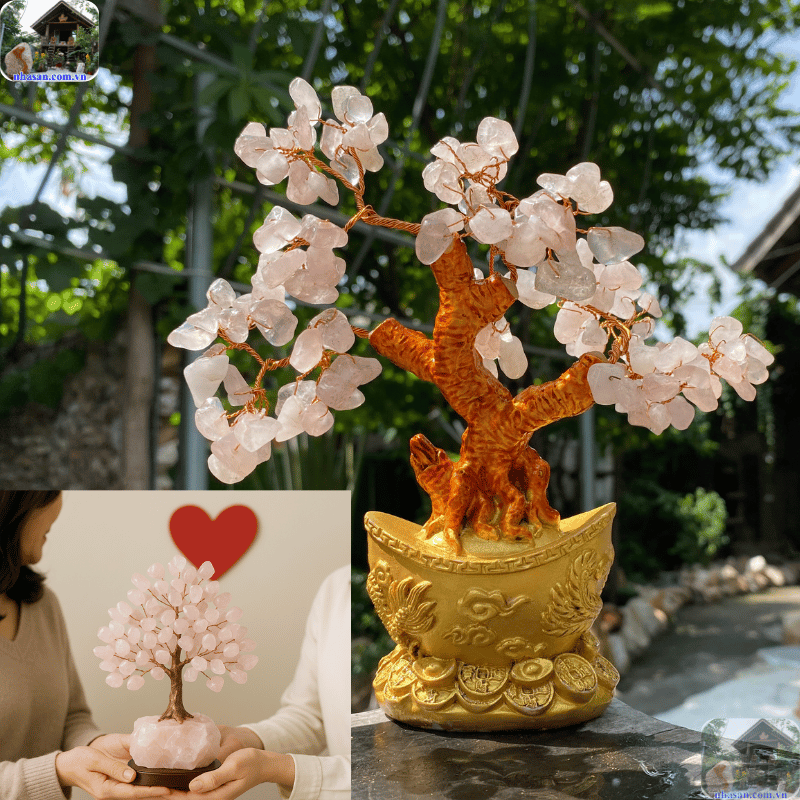 Cây tài lộc thạch anh hồng giúp cải thiện chuyện tình cảm Cây tài lộc thạch anh hồng giúp cải thiện chuyện tình cảm