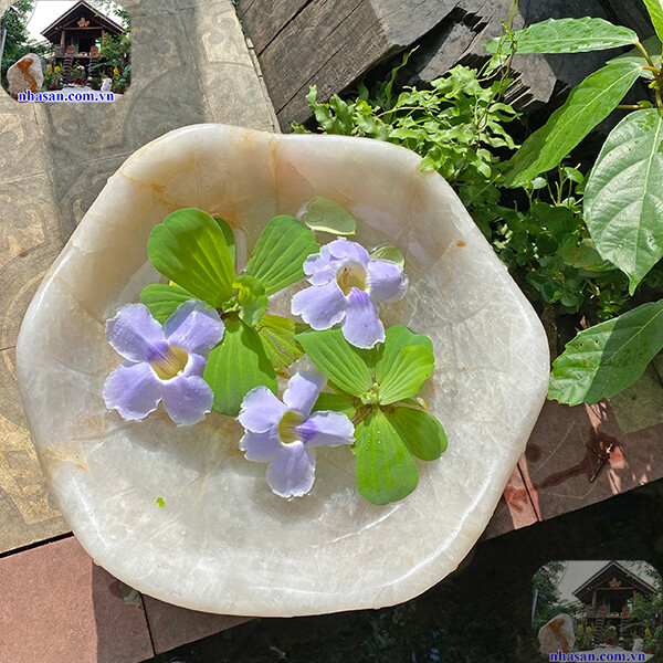 Ý nghĩa của bát nước thả hoa trong phong thủy Ý nghĩa của bát nước thả hoa trong phong thủy