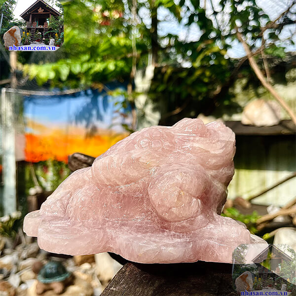 Thiềm thừ là linh vật bắt nguồn từ Trung Quốc Thiềm thừ là linh vật bắt nguồn từ Trung Quốc