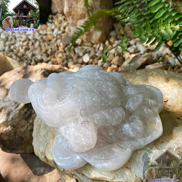 Đặt cóc thiềm thừ đúng vị trí giúp thu hút tài lộc Đặt cóc thiềm thừ đúng vị trí giúp thu hút tài lộc