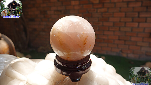 Hỗ trợ nhiều mặt trong công việc và đời sống Hỗ trợ nhiều mặt trong công việc và đời sống