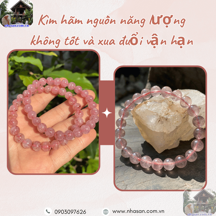 Đeo vòng thạch anh dâu tây giúp hấp thụ được tinh hoa năng lượng từ thiên nhiên Đeo vòng thạch anh dâu tây giúp hấp thụ được tinh hoa năng lượng từ thiên nhiên