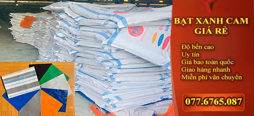 Khám Phá Dòng Bạt  2 Da Xanh Cam Hàn Quốc