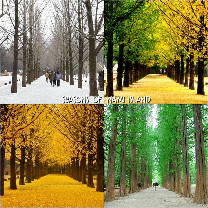 Du lịch Hàn Quốc