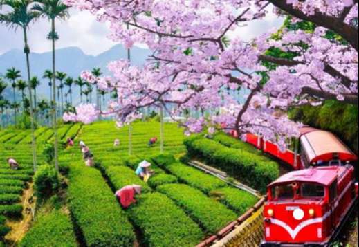 Du lịch Đài Loan