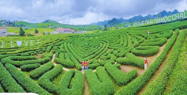 doi-che-trai-tim-tour-tp-hcm-moc-chau-mai-chau-2-ngay-1-dem.jpg