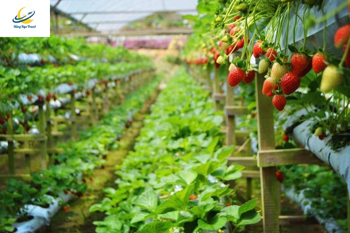 Du lịch Malaysia 2023