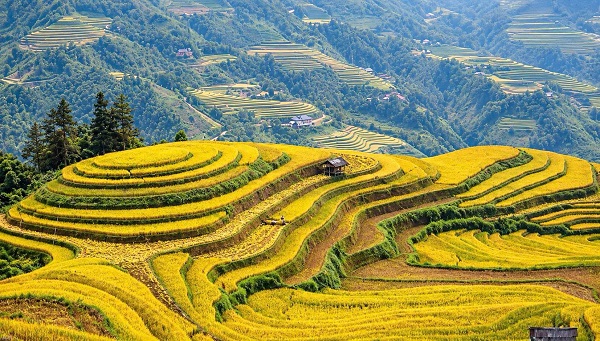 tour-tp-hcm-hoang-su-phi-y-ty-sapa.jpg