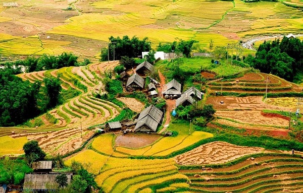 ngai-thau-tour-tp-hcm-hoang-su-phi-y-ty-sapa.jpg