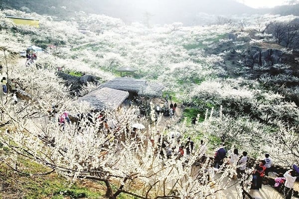 thung-lung-man-na-kha-tour-tp-hcm-moc-chau-mai-chau-2-ngay-1-dem.jpg
